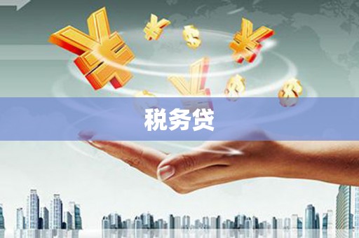 德兴税务贷