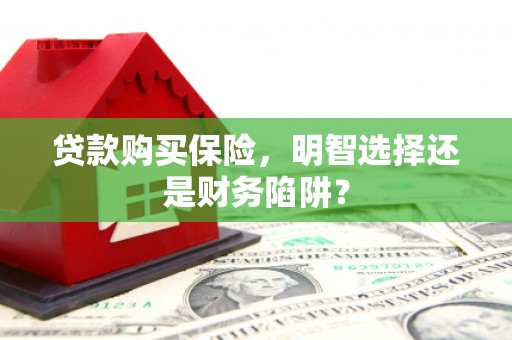 隆昌贷款购买保险，明智选择还是财务陷阱？