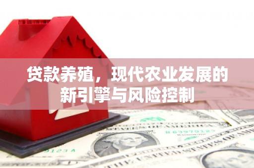 道外贷款养殖，现代农业发展的新引擎与风险控制