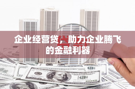 芦山企业经营贷，助力企业腾飞的金融利器