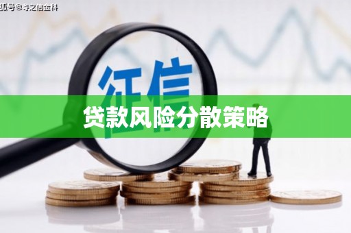 寿丰贷款风险分散策略