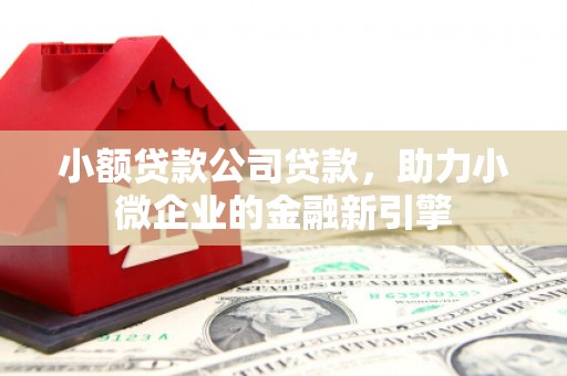 琼中小额贷款公司贷款，助力小微企业的金融新引擎