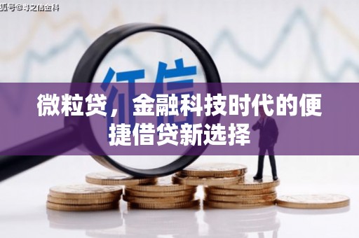 永定微粒贷，金融科技时代的便捷借贷新选择