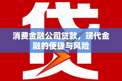 奎文消费金融公司贷款，现代金融的便捷与风险