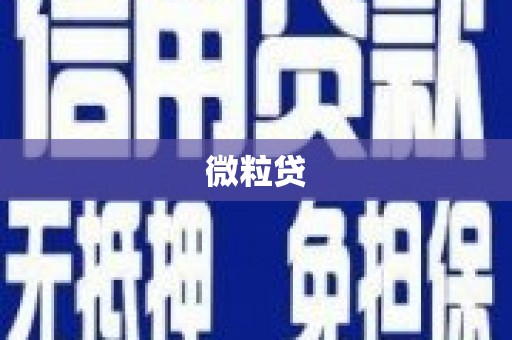 天河微粒贷
