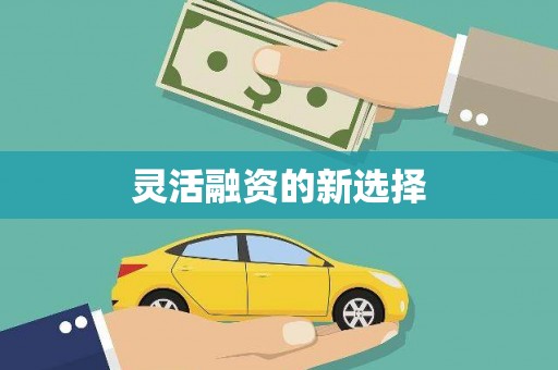 白碱滩灵活融资的新选择