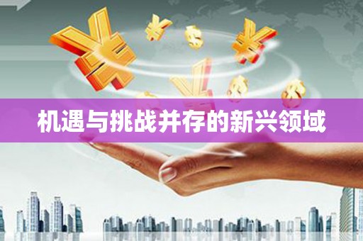 江城机遇与挑战并存的新兴领域
