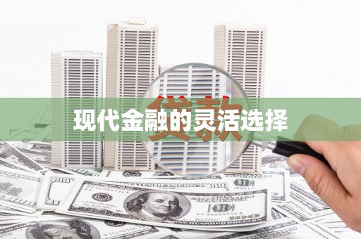 安仁现代金融的灵活选择