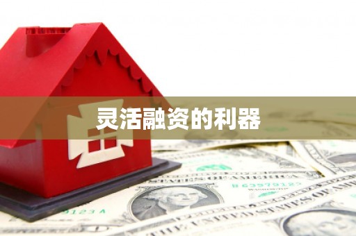 循化灵活融资的利器