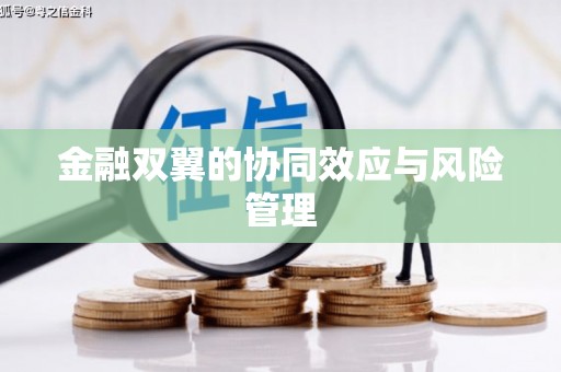 广阳金融双翼的协同效应与风险管理