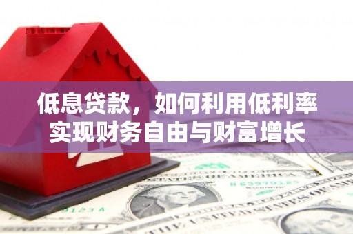 布拖低息贷款，如何利用低利率实现财务自由与财富增长