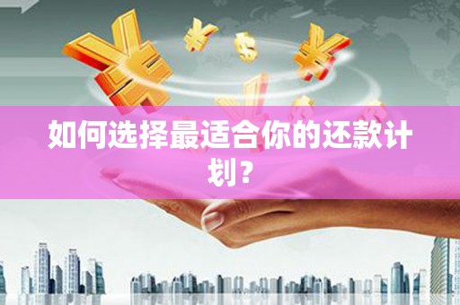 永靖如何选择最适合你的还款计划？