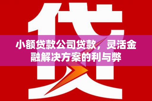 稻城小额贷款公司贷款，灵活金融解决方案的利与弊