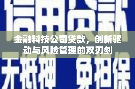 青河金融科技公司贷款，创新驱动与风险管理的双刃剑